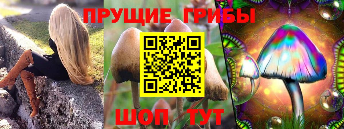 Галлюциногенные грибы мицелий Нягань